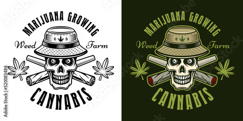 Marijuana growing farm vector emblem, badge, label or logo with skull in bucket hat and two crossed weed joints two styles black on white and colorful on dark bacgkround