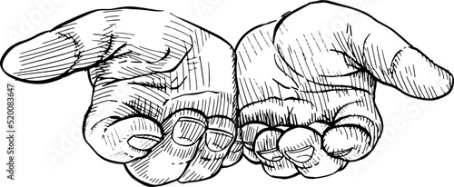 Close-up of two hands with palms facing up. Hand language. Black and white vector illustration on white background.