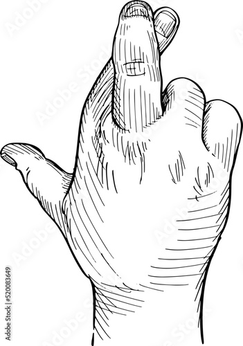 Close-up of crossed fingers of the hand as a symbol of superstition. Hand language. Black and white vector illustration on white background