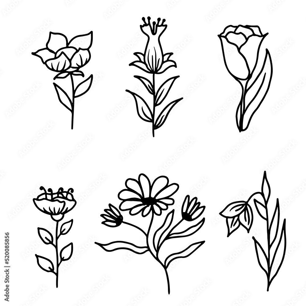 Botanical flowers set, line style hand drawn floral elements for design projects. Vector illustration.