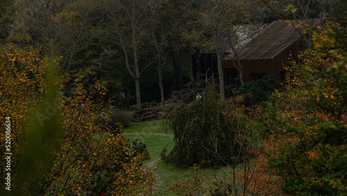 nature and garden of autumun