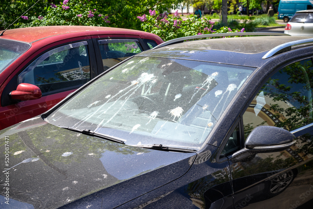 Obraz premium hood of car with lot of bird droppings, bad parking concept