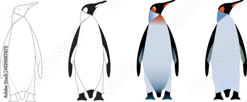 Set 4 vector northern snowy arctic winter bird penguins different styles simple outline flat gradient realistic outlines black and white adobe illustrator scalable graphics