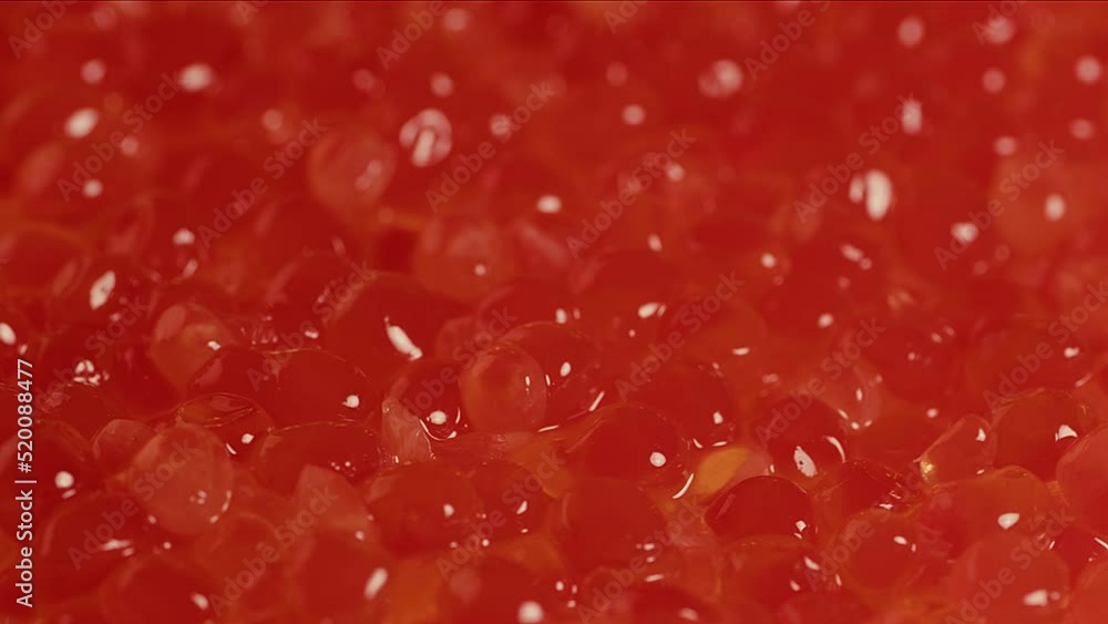 The texture is red caviar. Trout caviar closeup The texture is red caviar. Trout caviar closeup