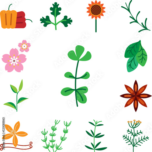 Herb, oregano icon in a collection with other items