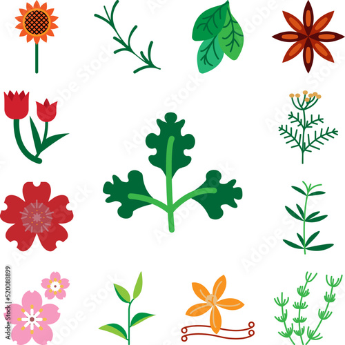 Herb  parsley icon in a collection with other items