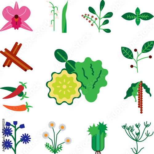 Herb, bergamot icon in a collection with other items