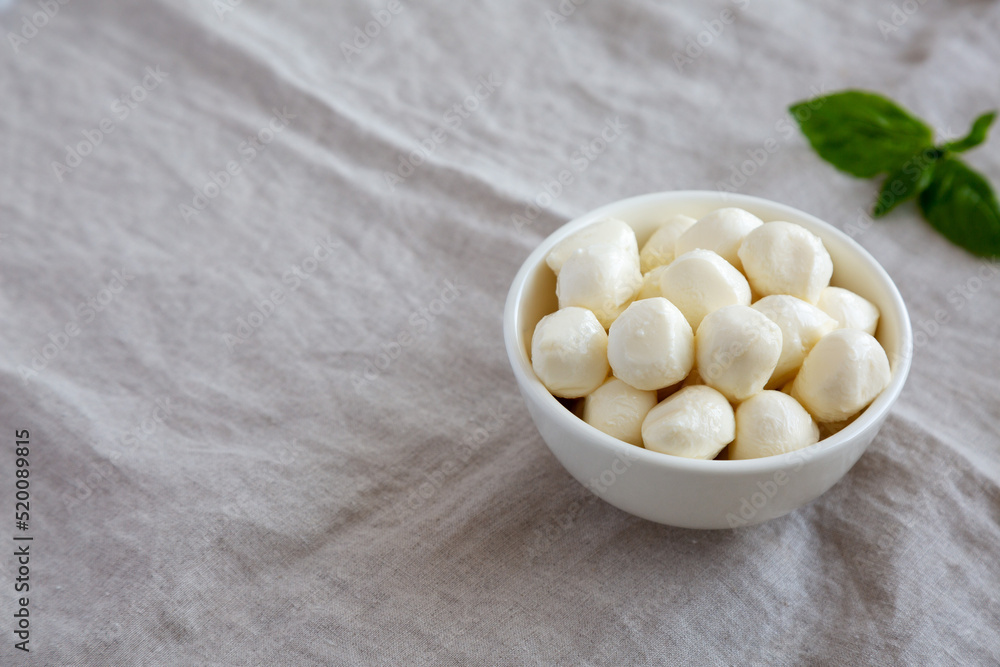Homemade organic mozzarella cheese in a bowl, side view. Copy space. Homemade organic mozzarella cheese in a bowl, side view. Copy space.