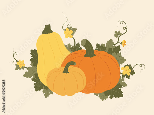 Nice pumpkins with leaves and flowers. Autumn holiday composition for harvest festival or Thanksgiving. Vector hand drawn illustration. Can be used for greeting cards, postcards, posters, invitations 