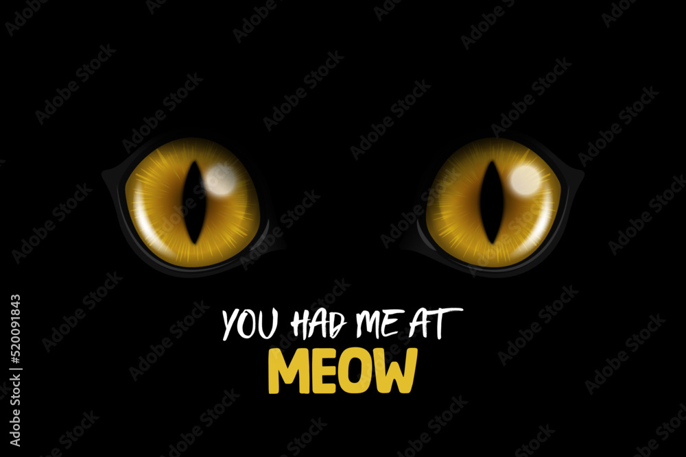 You Had Me At Meow. Vector 3d Realistic Yellow Round Glowing Cats Eyes of a Black Cat. Cat Look in the Dark Black Background Closeup. Glowing Cat or Panther Eyes You Had Me At Meow. Vector 3d Realistic Yellow Round Glowing Cats Eyes of a Black Cat. Cat Look in the Dark Black Background Closeup. Glowing Cat or Panther Eyes