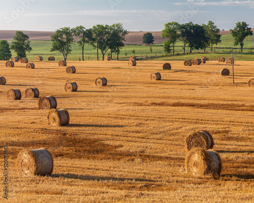 Fototapeta Naklejka Na Ścianę i Meble -  View of the Masurian fields.