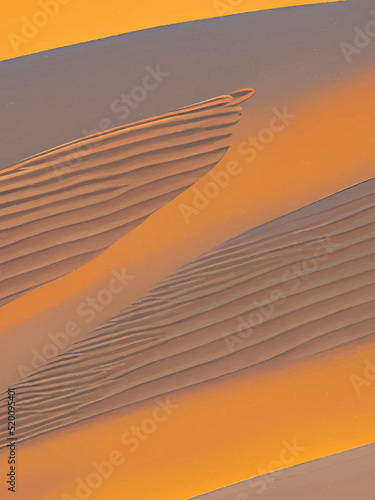 sand dunes in the desert