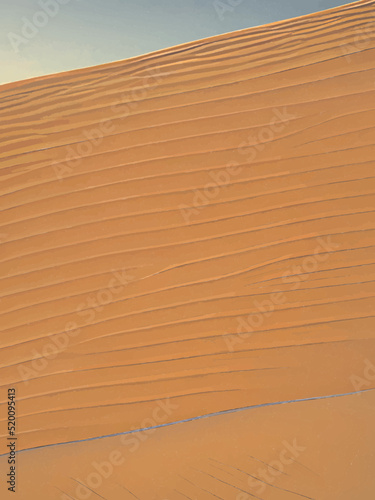 sand dunes in the desert