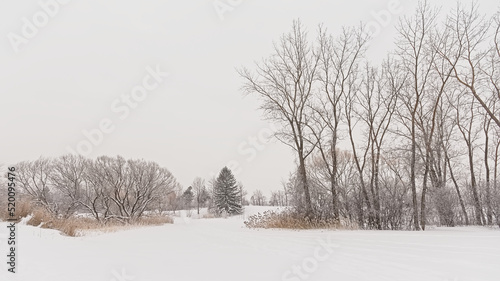 Ile de la visitation nature park in the snow. Montreal photo