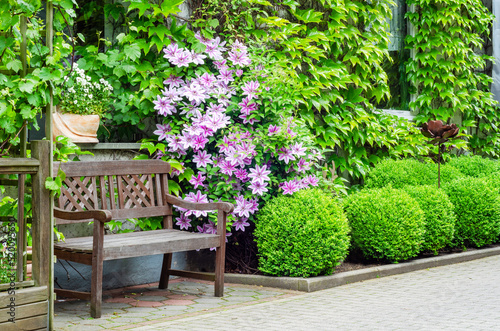 Pink clematis in front of a house with an old bench in the foreground