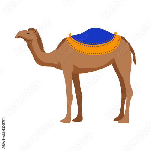 Camel Israel Travel Composition