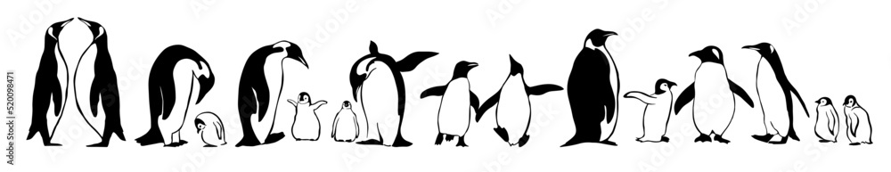 Naklejka premium Set of penguins. Vector illustration