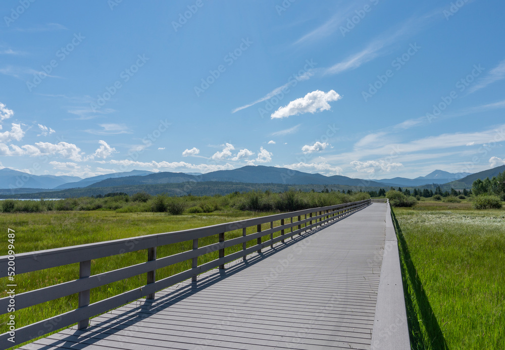 Multi-Use Plank Pathway Over Green Marsh with Mountains and Blue Sky