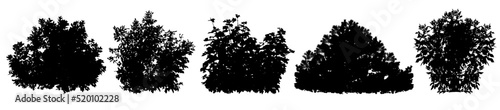 Bush, set of silhouettes. Vector illustration