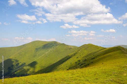 Colorful landscape of the mountain slope with multicolored grass overlooking the beautiful Carpathian mountains  Ukraine