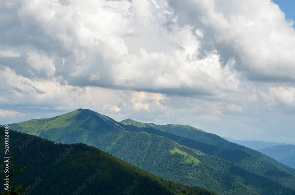 Grassy hills with beech forests under the gorgeous cloudscape. Beautiful landscape of mountain ridge of Carpathians, Ukraine 