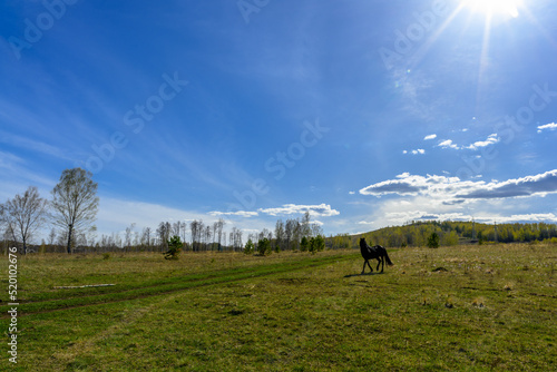 South Ural horses  horseback riding  farm with a unique landscape  vegetation and diversity of nature.