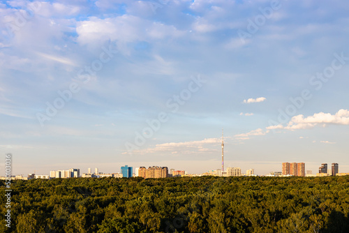 above view of big city park and apartment houses on horizon at summer sunset