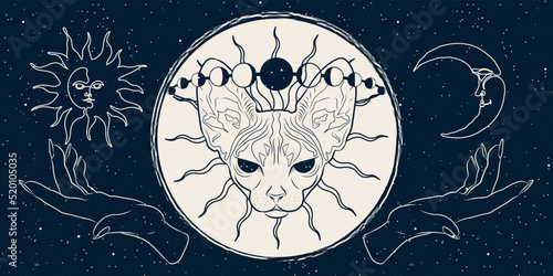 Mysterious banner with sphinx cat and moon. Vector background for landing page, web design. Astrology, fortune telling, tarot reading concept. Book cover, poster. Animal spirit art