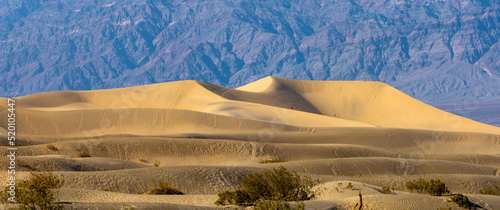 Fototapeta Naklejka Na Ścianę i Meble -  Mesquite Sand Dunes In Death Valley National Park under evening sun light.