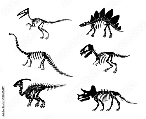 Vector set with dinosaur skeleton isolated on a white background.
