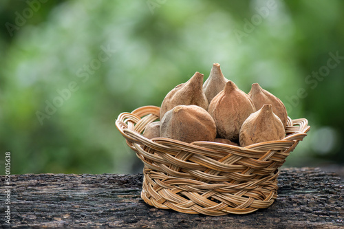 Terminalia bellirica or Beleric Myrobalan fruits on nature background. photo