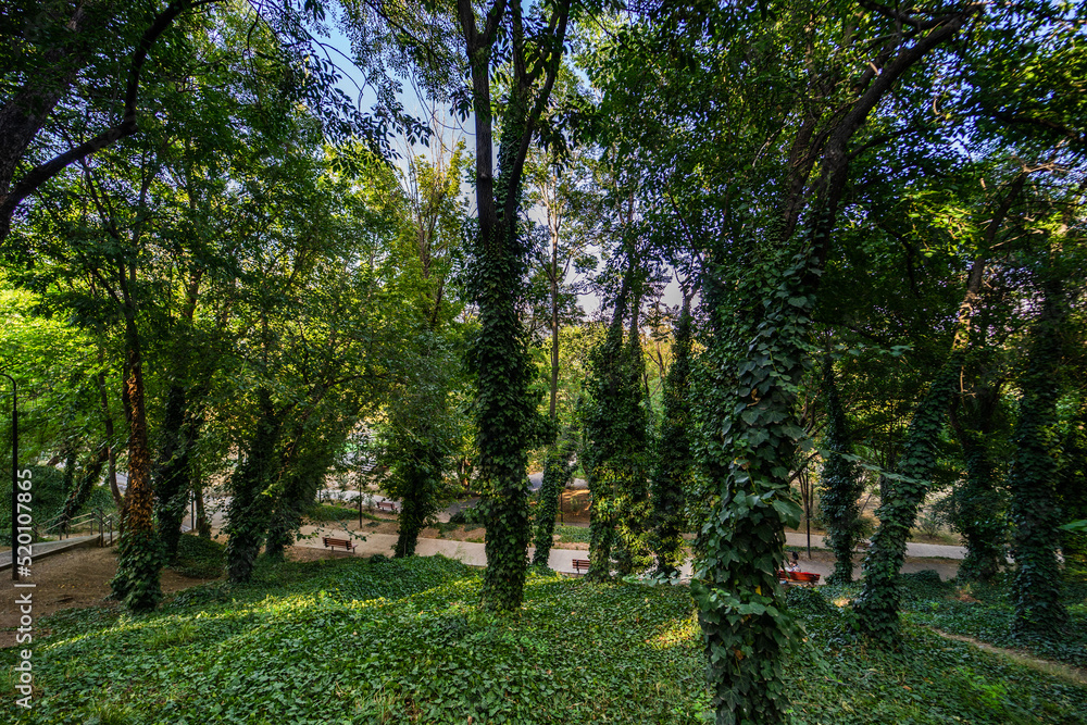 Summer in Mziuri Park in Tbilisi Summer in Mziuri Park in Tbilisi