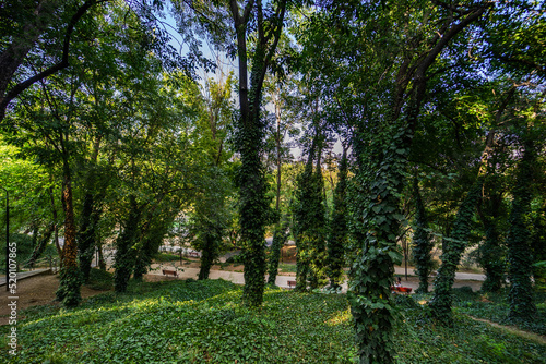 Summer in Mziuri Park in Tbilisi