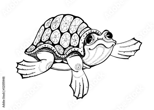 the turtle  hand  draw black and white vector image coloring page