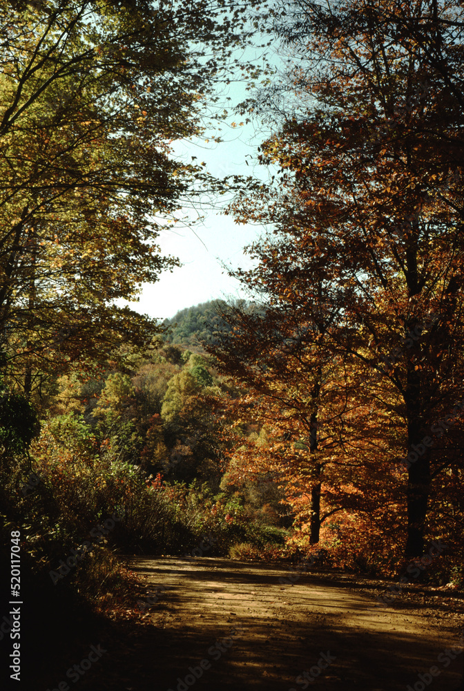 Scenic Back Road, Autumn Trees, North Carolina