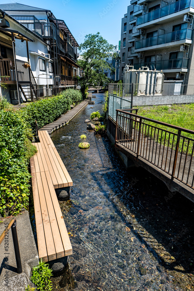 静岡県三島市に流れる源兵衛川のきれいな流れと遊歩道