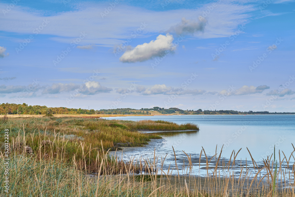 Landscape of sea, lake or coast against sky background with clouds and copy space. Swamp with reeds and wild grass growing at an empty lake outside. Peaceful, calm and beautiful scenic view in nature