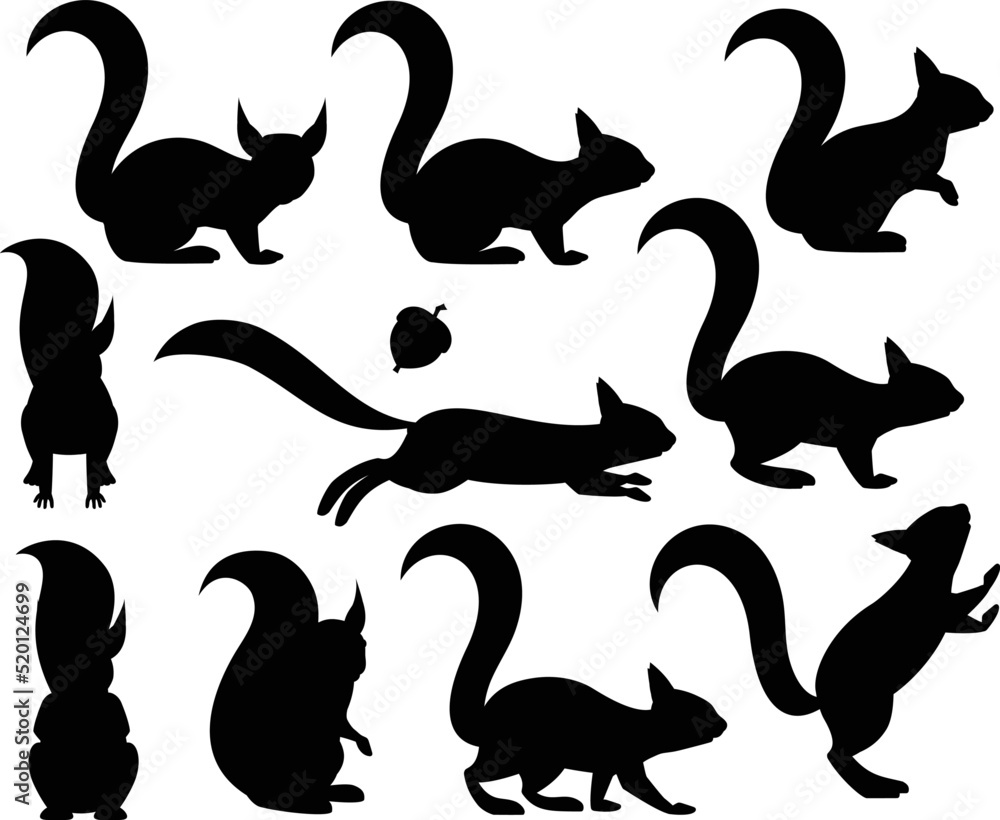 Squirrel different pose Flat style isolated Vectors Silhouettes