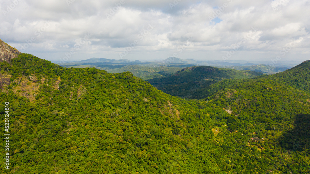 Fototapeta premium Mountain landscape with mountain peaks covered with forest. Slopes of mountains with evergreen vegetation. Sri Lanka.