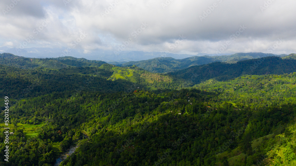 Mountain slopes covered with rainforest and jungle Sri Lanka.