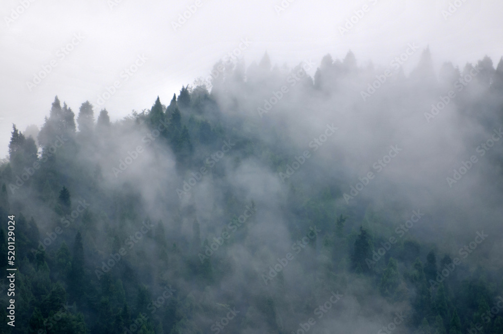 fog in the mountains