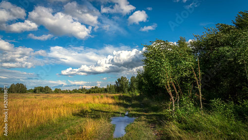 Classic rural landscape. Green field against blue sky with clouds. © sergofan2015