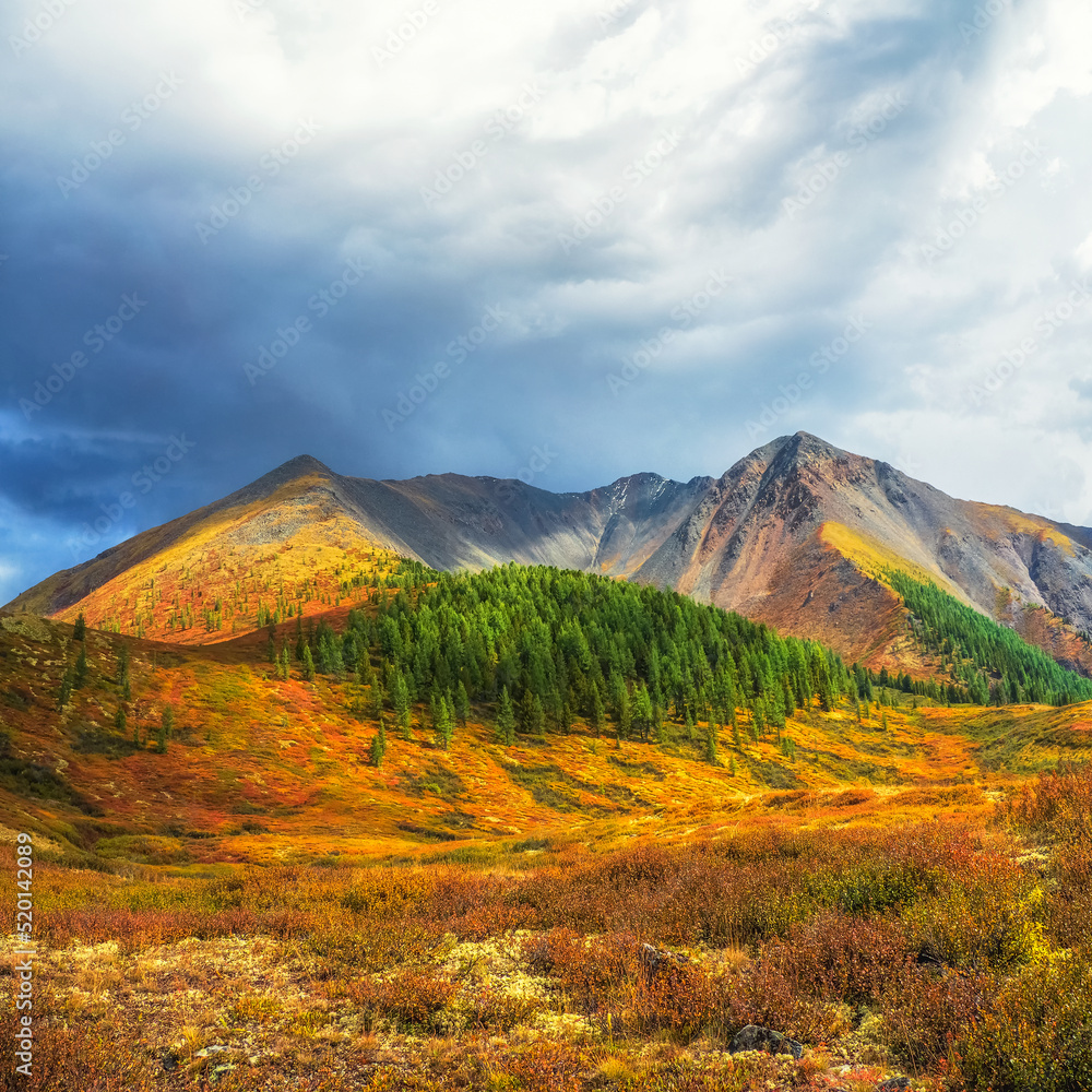 Picturesque autumn mountain plateau with a dramatic view and rays of the sun on the hillside.