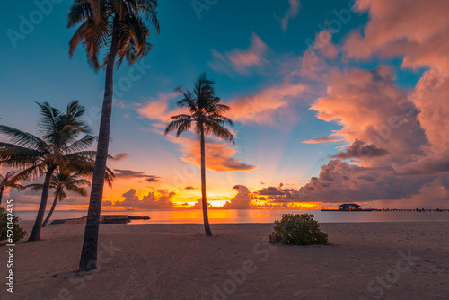 Beautiful sunset at palm beach landscape. Tropical shore  amazing colorful cloudy sky  tranquil skyline skyscape with infinity fantasy sea horizon. Beach evening view  palm trees silhouette  nature