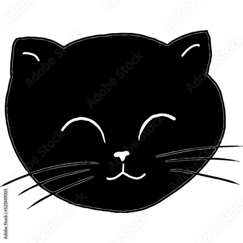 Black Cat