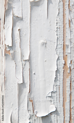 Old wooden board painted with white paint as an abstract background.