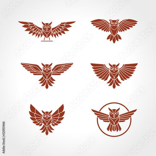 owl logo set logo design template