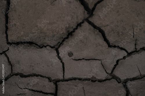 Dried cracked earth soil ground texture background. Cracked soil.