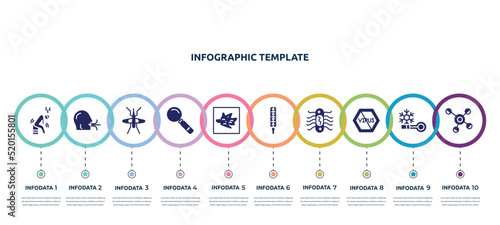 concept infographic design template. included weak, breath, mosquito, magnifying glass, germ, thermometer, e coli, no virus, cells icons and 10 option or steps.