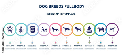 dog breeds fullbody concept infographic design template. included pyrrhocoridae, red soldier beetle, pet food, dog and man seating, bernese mountain dog, bullmastiff, miniature schnauzer, cat